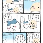 レス2番のサムネイル画像