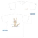 レス11番の画像3