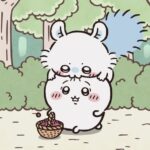 レス1番の画像1