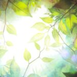 レス2番の画像6