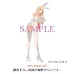 レス13番の画像2