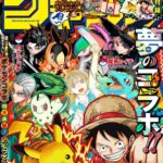 レス24番の画像1