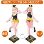 レス18番の画像1