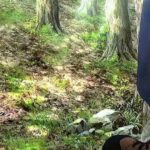 レス7番の画像9