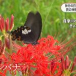 レス1番の画像3