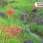 レス1番の画像4