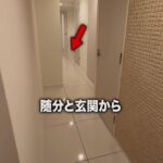 レス1番の画像2