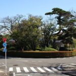 レス1番の画像8