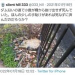 レス13番の画像2