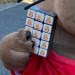 レス1番の画像5