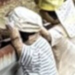 レス6番の画像2