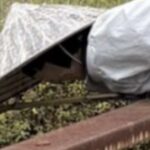 レス6番の画像1