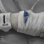 レス41番の画像6