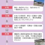 レス1番のリンク先のサムネイル画像