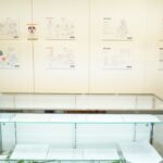 レス3番の画像3