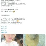 レス1番の画像1