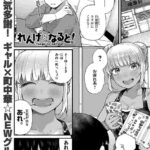 レス31番の画像1