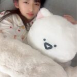 レス6番の画像2