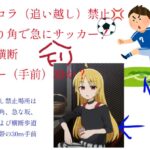 レス12番の画像1