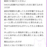 レス1番の画像1