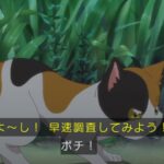 レス15番の画像7