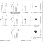 レス30番の画像2