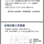 レス30番の画像1