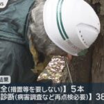 レス1番のリンク先のサムネイル画像