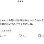 レス1番の画像1