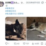 レス4番の画像1