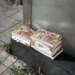 レス1番の画像4