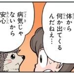 レス1番のリンク先のサムネイル画像