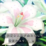 レス8番の画像2