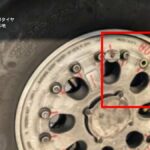 レス1番のリンク先のサムネイル画像