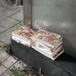 レス1番の画像5