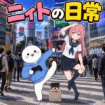 レス1番のリンク先のサムネイル画像