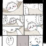 レス21番の画像1