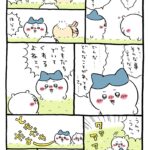 レス6番の画像1