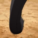 レス10番の画像4