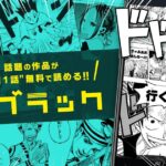 レス1番のリンク先のサムネイル画像