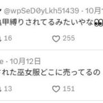 レス1番の画像3